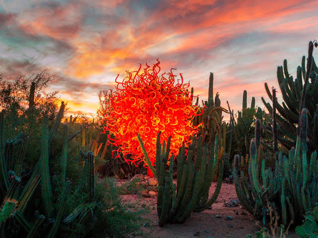 Jazz Music Night: Desert Oasis Garden After Dark 4